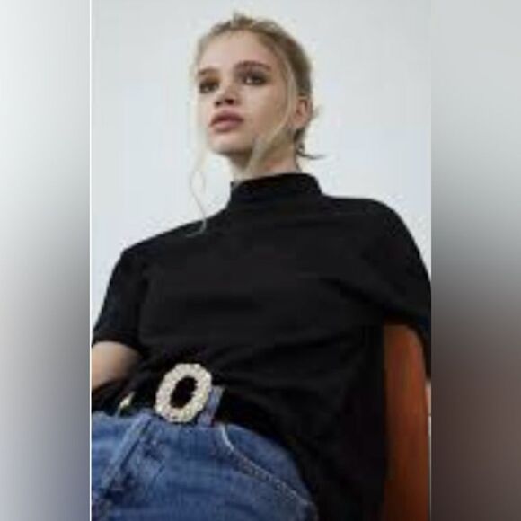 #100 ZARA Mock-Neck Short Sleeve Sweater - Picture 1 of 8